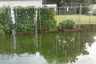 Как защитить участок от подтопления: эффективные решения