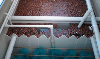 Зачем в септик Тверь добавлять керамзит