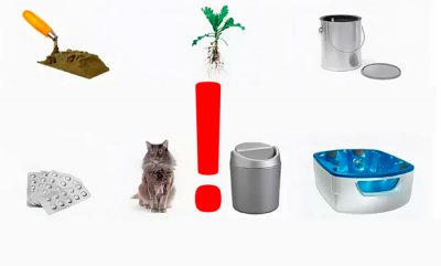 Что можно сливать в септик?