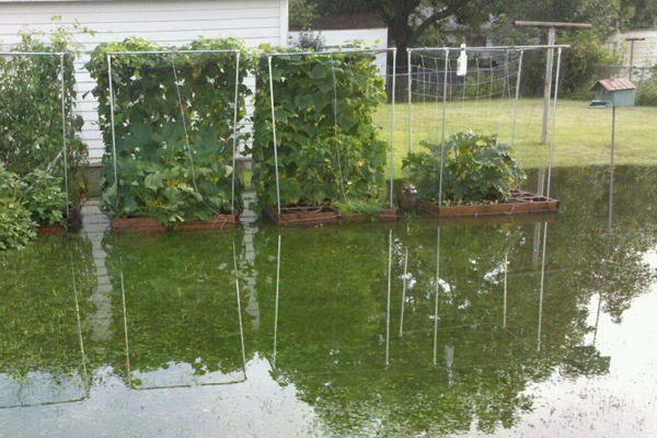 Как защитить участок от подтопления: эффективные решения