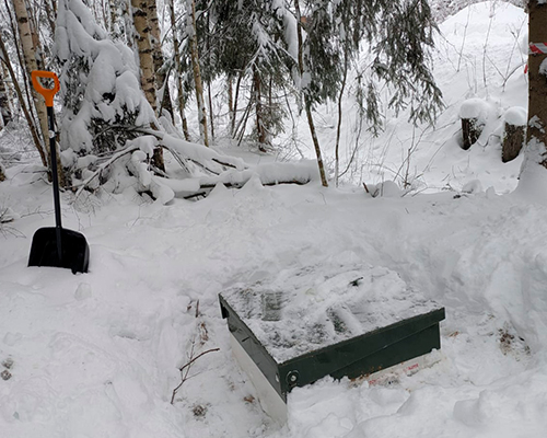 Почему регулярное обслуживание септиков важнее, чем ремонт?