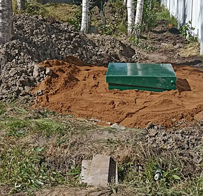 Септик и деревья: можно ли сажать деревья над септиком?