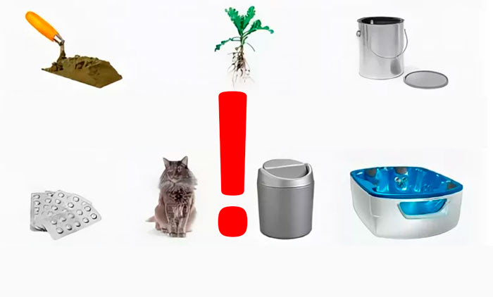 Что можно сливать в септик?